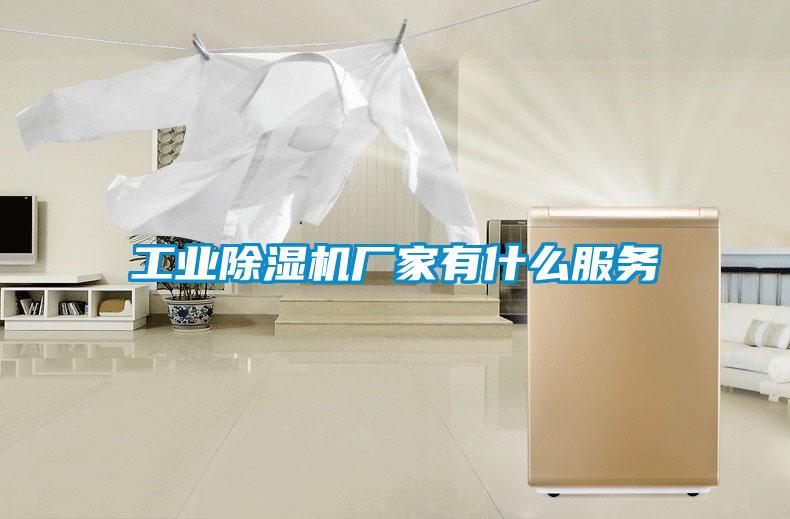 工業91看片在线下载機廠家有什麽服務