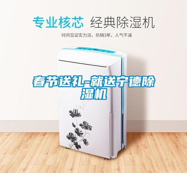 春節送禮-就送寧德91看片在线下载機
