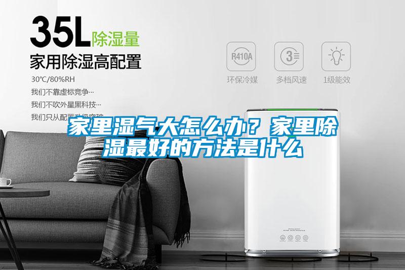 家裏濕氣大怎麽辦？家裏91看片在线下载最好的方法是什麽