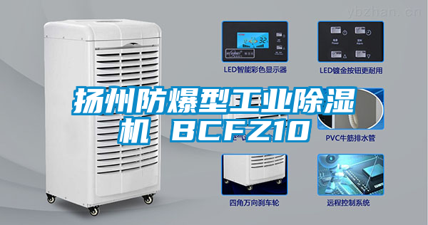 揚州防爆型工業91看片在线下载機 BCFZ10