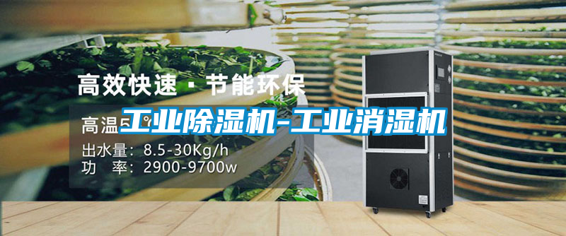 工業91看片在线下载機-工業消濕機