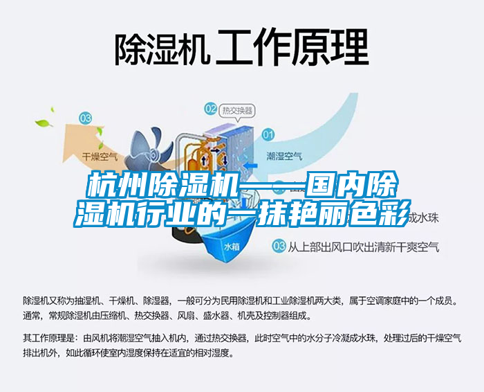 杭州91看片在线下载機——國內91看片在线下载機行業的一抹豔麗色彩