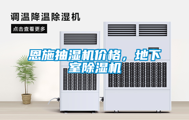 恩施抽濕機價格，地下室91看片在线下载機