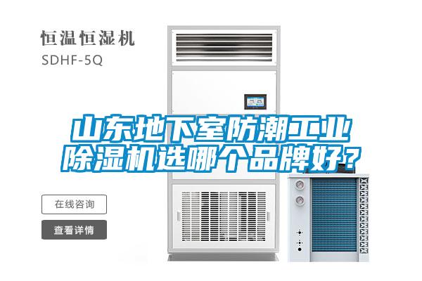 山東地下室防潮工業91看片在线下载機選哪個品牌好？