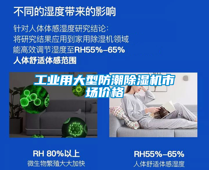 工業用大型防潮91看片在线下载機市場價格