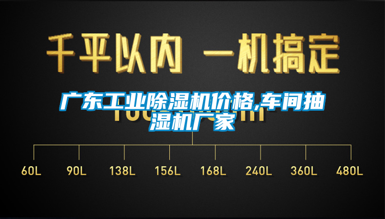 廣東工業91看片在线下载機價格,車間抽濕機廠家