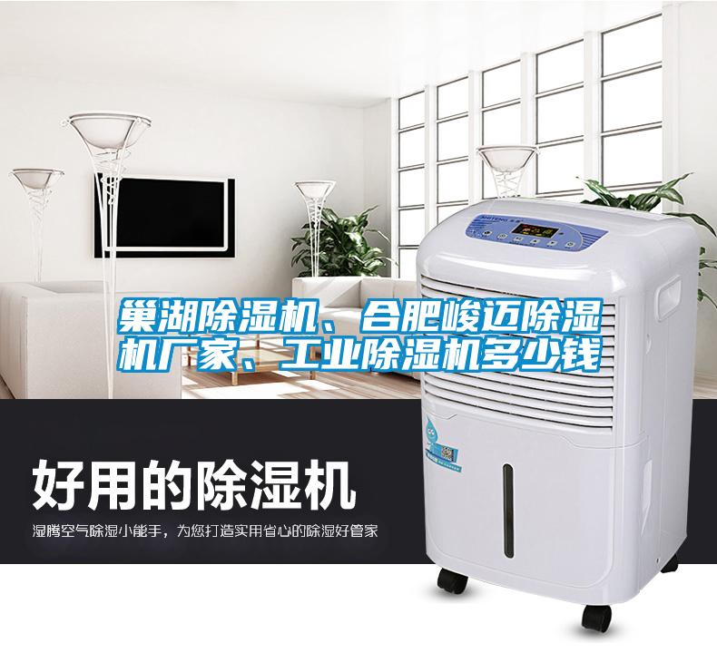 巢湖91看片在线下载機、合肥峻邁91看片在线下载機廠家、工業91看片在线下载機多少錢