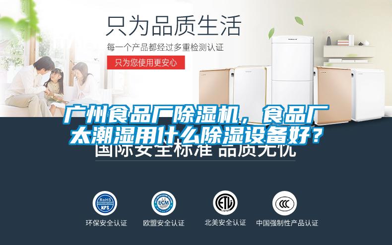 廣州食品廠91看片在线下载機，食品廠太潮濕用什麽91看片在线下载設備好？