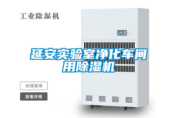 延安實驗室淨化車間用91看片在线下载機