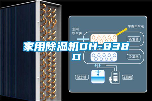 家用91看片在线下载機DH-838D