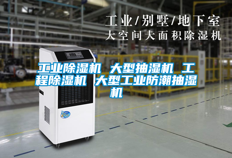 工業91看片在线下载機 大型抽濕機 工程91看片在线下载機 大型工業防潮抽濕機