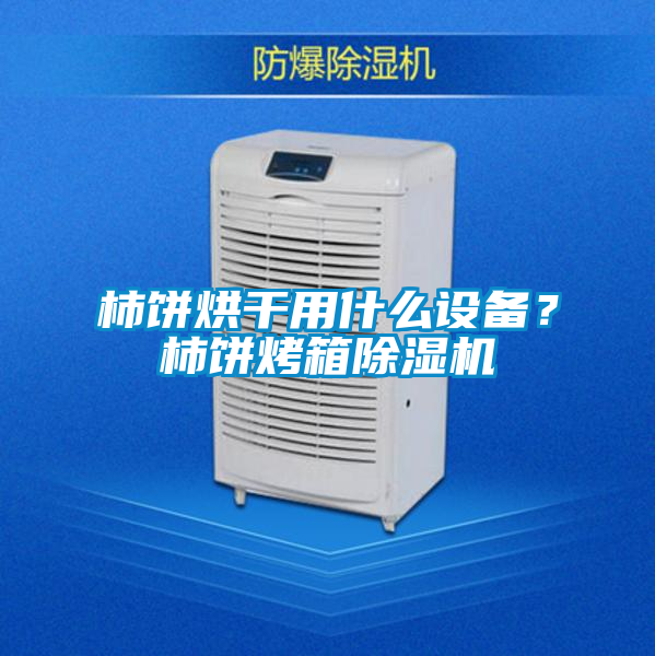 柿餅烘幹用什麽設備？柿餅烤箱91看片在线下载機