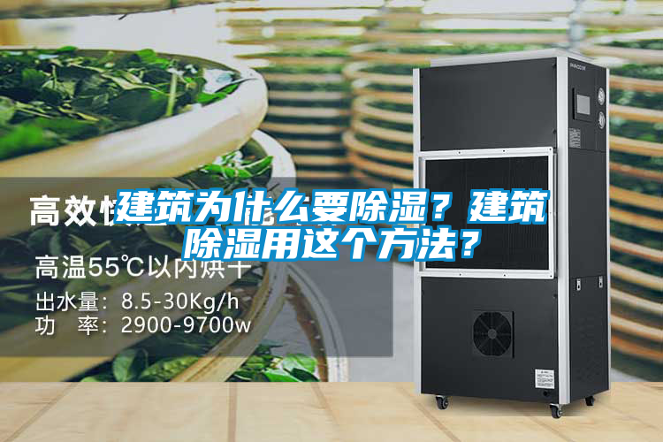 建築為什麽要91看片在线下载？建築91看片在线下载用這個方法？