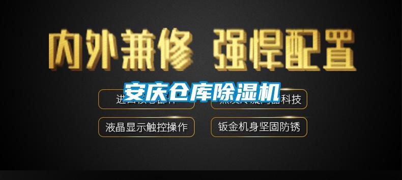 安慶倉庫91看片在线下载機