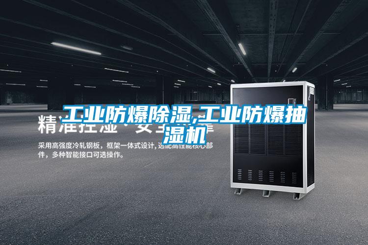 工業防爆91看片在线下载,工業防爆抽濕機