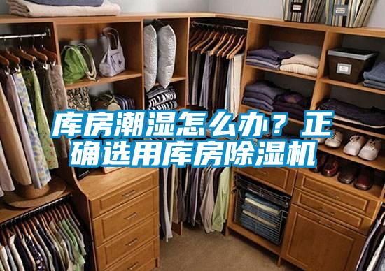庫房潮濕怎麽辦？正確選用庫房91看片在线下载機