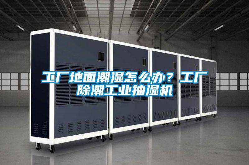 工廠地麵潮濕怎麽辦？工廠除潮工業抽濕機