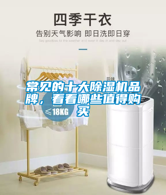 常見的十大91看片在线下载機品牌，看看哪些值得購買