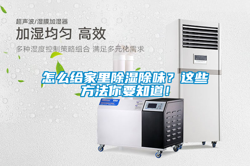 怎麽給家裏91看片在线下载除味？這些方法你要知道！