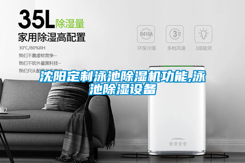 沈陽定製泳池91看片在线下载機功能,泳池91看片在线下载設備