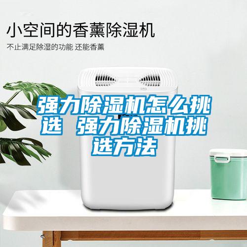 強力91看片在线下载機怎麽挑選 強力91看片在线下载機挑選方法