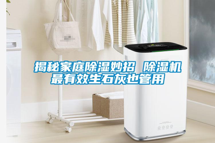 揭秘家庭91看片在线下载妙招 91看片在线下载機最有效生石灰也管用