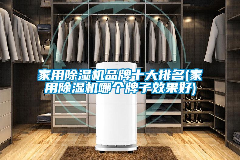 家用91看片在线下载機品牌十大排名(家用91看片在线下载機哪個牌子效果好)