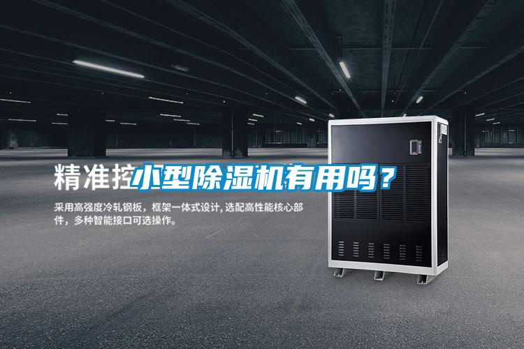 小型91看片在线下载機有用嗎？