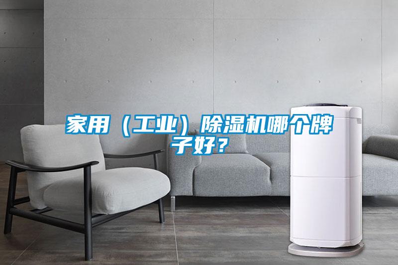 家用（工業）91看片在线下载機哪個牌子好？