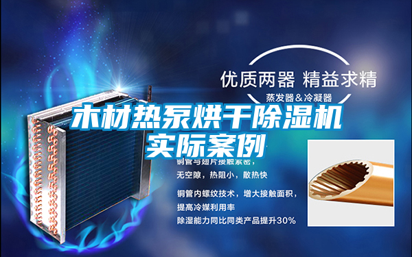 木材熱泵烘幹91看片在线下载機實際案例