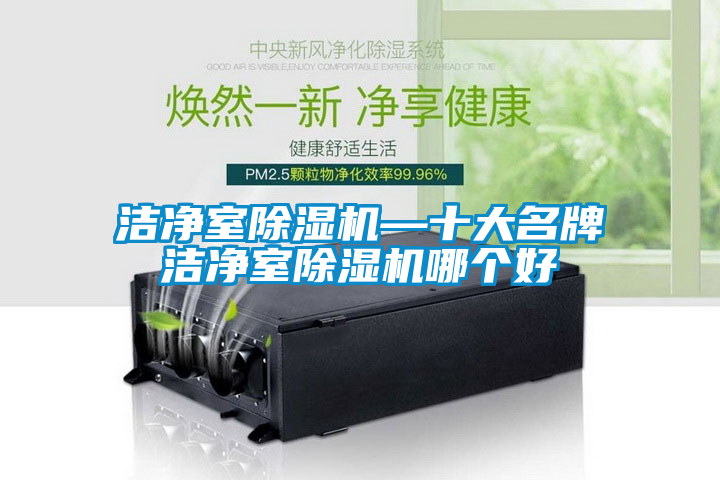 潔淨室91看片在线下载機—十大名牌潔淨室91看片在线下载機哪個好