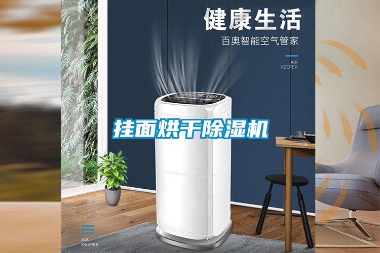 掛麵烘幹91看片在线下载機