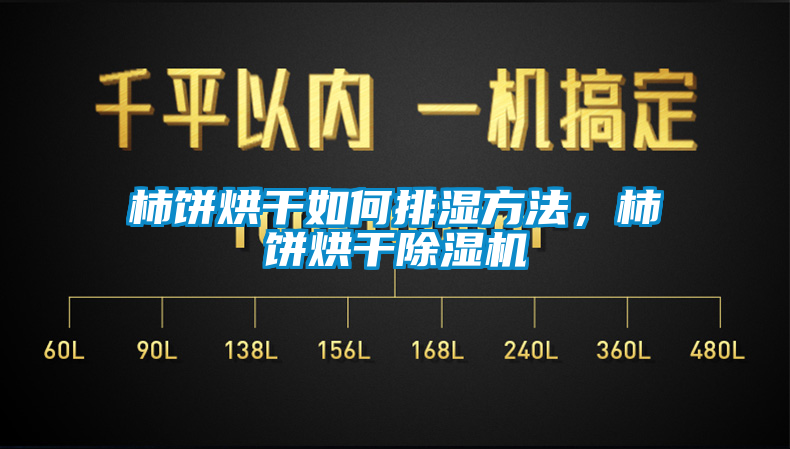 柿餅烘幹如何排濕方法，柿餅烘幹91看片在线下载機