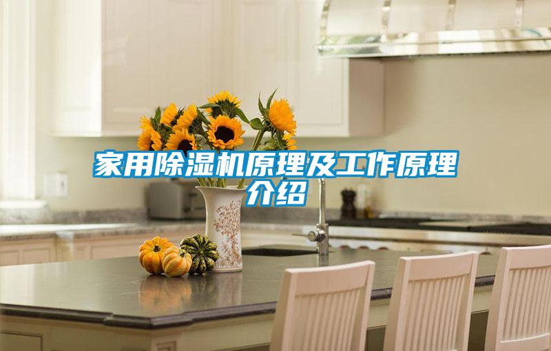 家用91看片在线下载機原理及工作原理介紹