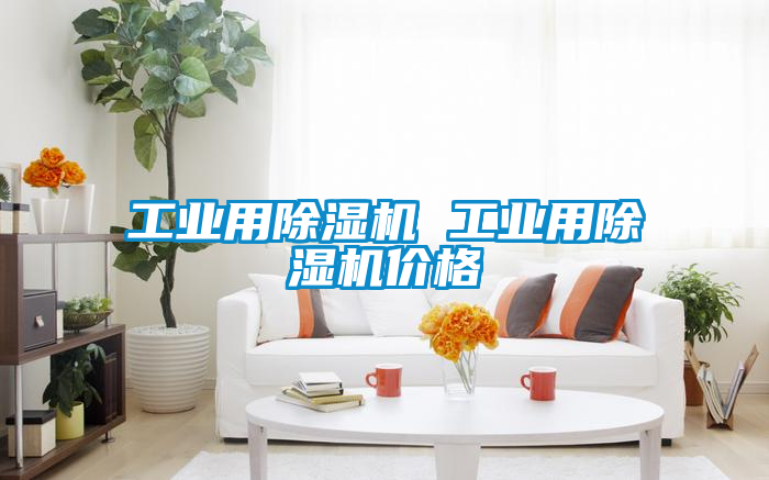 工業用91看片在线下载機 工業用91看片在线下载機價格