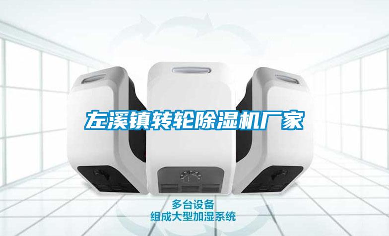 左溪鎮轉輪91看片在线下载機廠家