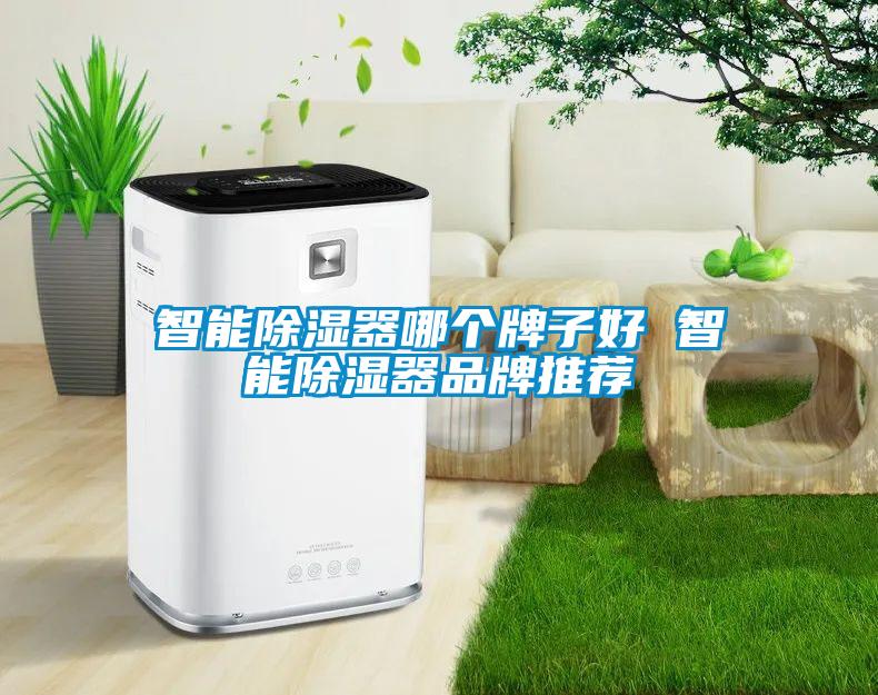 智能91看片在线下载器哪個牌子好 智能91看片在线下载器品牌推薦