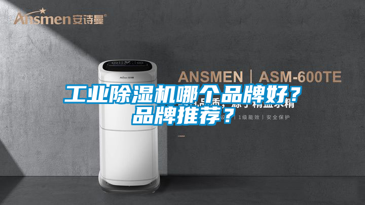 工業91看片在线下载機哪個品牌好？品牌推薦？