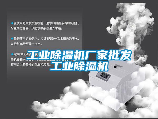 工業91看片在线下载機廠家批發工業91看片在线下载機