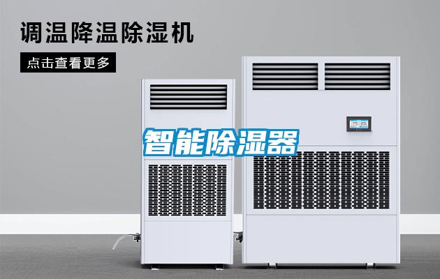 智能91看片在线下载器