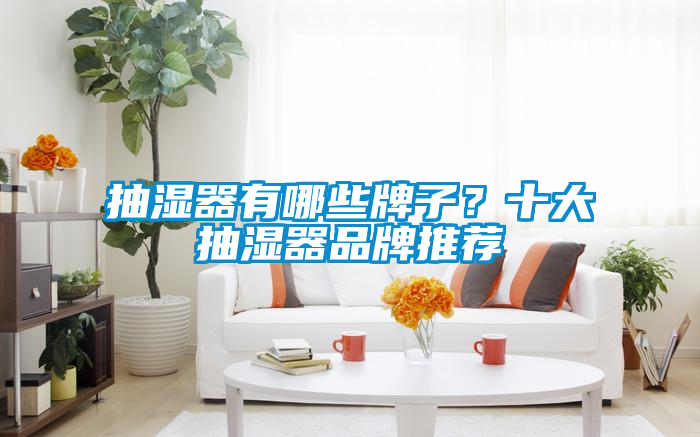 抽濕器有哪些牌子？十大抽濕器品牌推薦