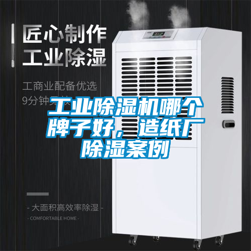工業91看片在线下载機哪個牌子好，造紙廠91看片在线下载案例