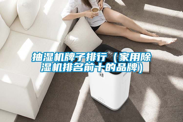 抽濕機牌子排行（家用91看片在线下载機排名前十的品牌）