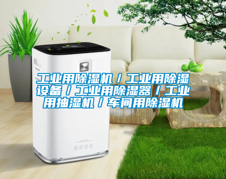 工業用91看片在线下载機／工業用91看片在线下载設備／工業用91看片在线下载器／工業用抽濕機／車間用91看片在线下载機