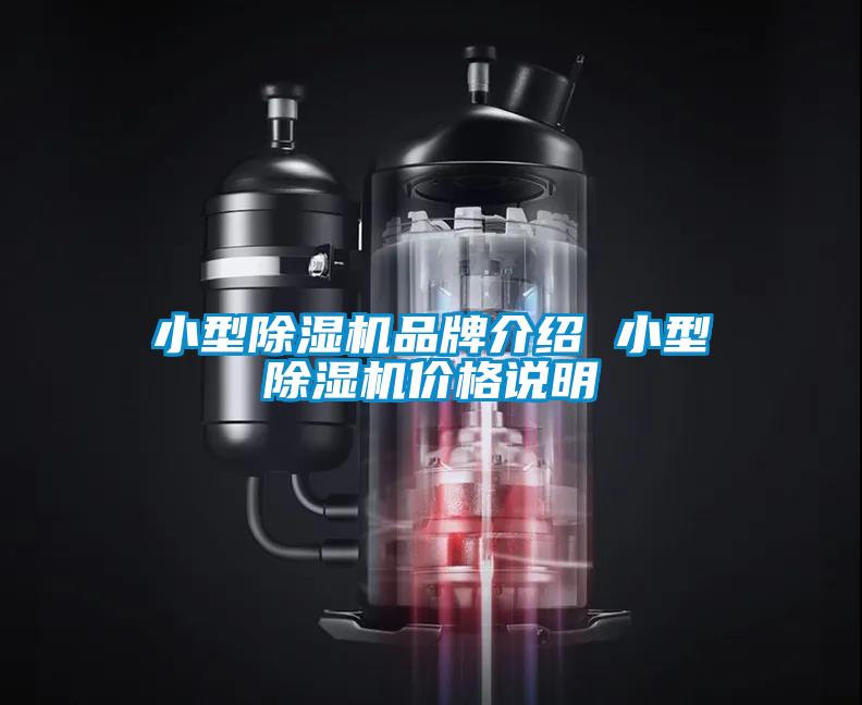 小型91看片在线下载機品牌介紹 小型91看片在线下载機價格說明