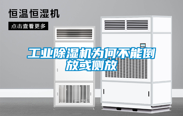 工業91看片在线下载機為何不能倒放或側放