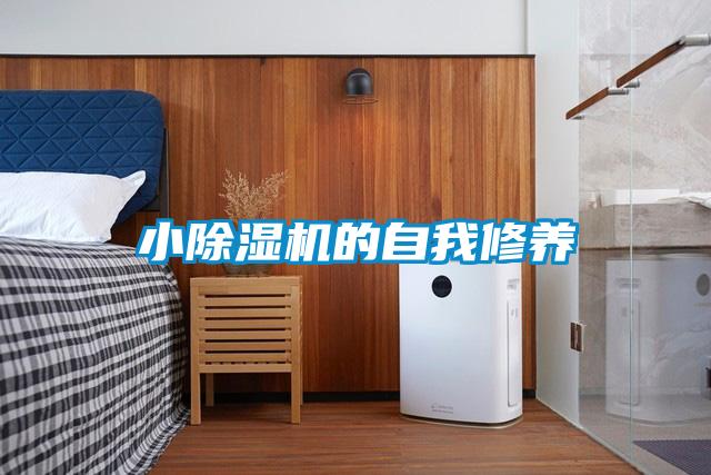 小91看片在线下载機的自我修養