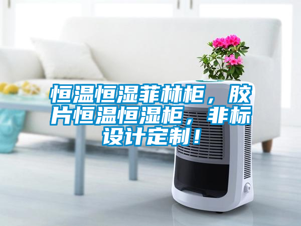 恒溫恒濕菲林櫃，膠片恒溫恒濕櫃，非標設計定製！
