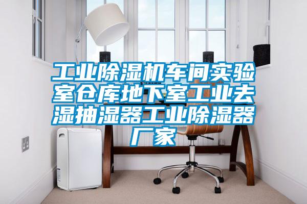 工業91看片在线下载機車間實驗室倉庫地下室工業去濕抽濕器工業91看片在线下载器廠家