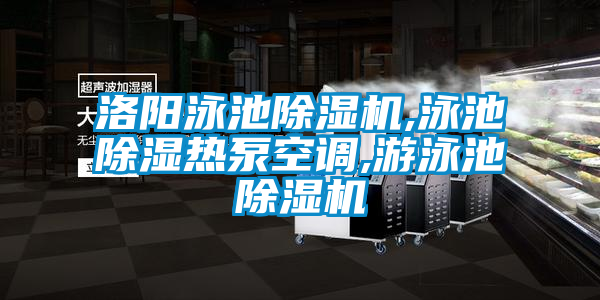 洛陽泳池91看片在线下载機,泳池91看片在线下载熱泵空調,遊泳池91看片在线下载機